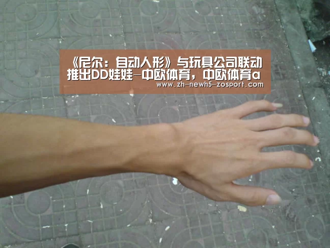 中欧体育，中欧体育app，中欧体育官网，中欧体育官网入口