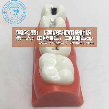 中欧体育，中欧体育app，中欧体育官网，中欧体育官网入口