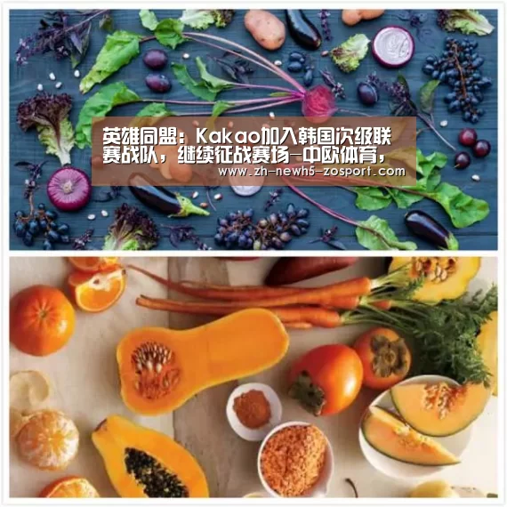 中欧体育，中欧体育app，中欧体育官网，中欧体育官网入口