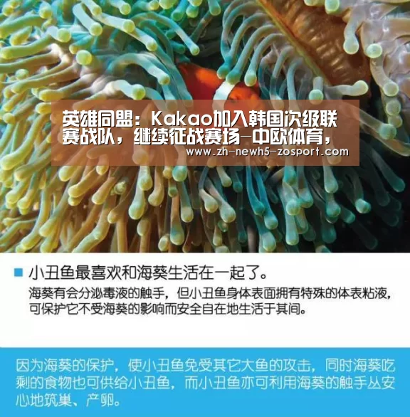 中欧体育，中欧体育app，中欧体育官网，中欧体育官网入口